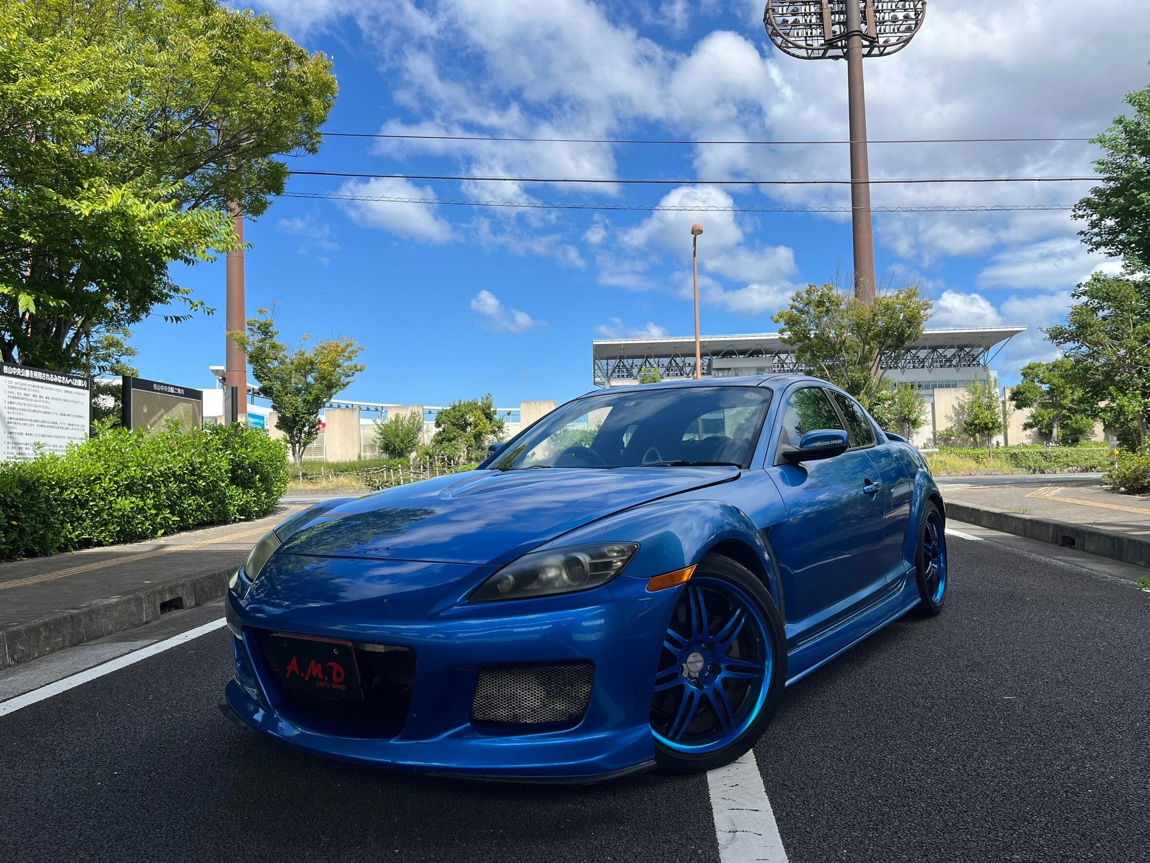 軽量化と性能の両立。RX-8を手に入れよう！