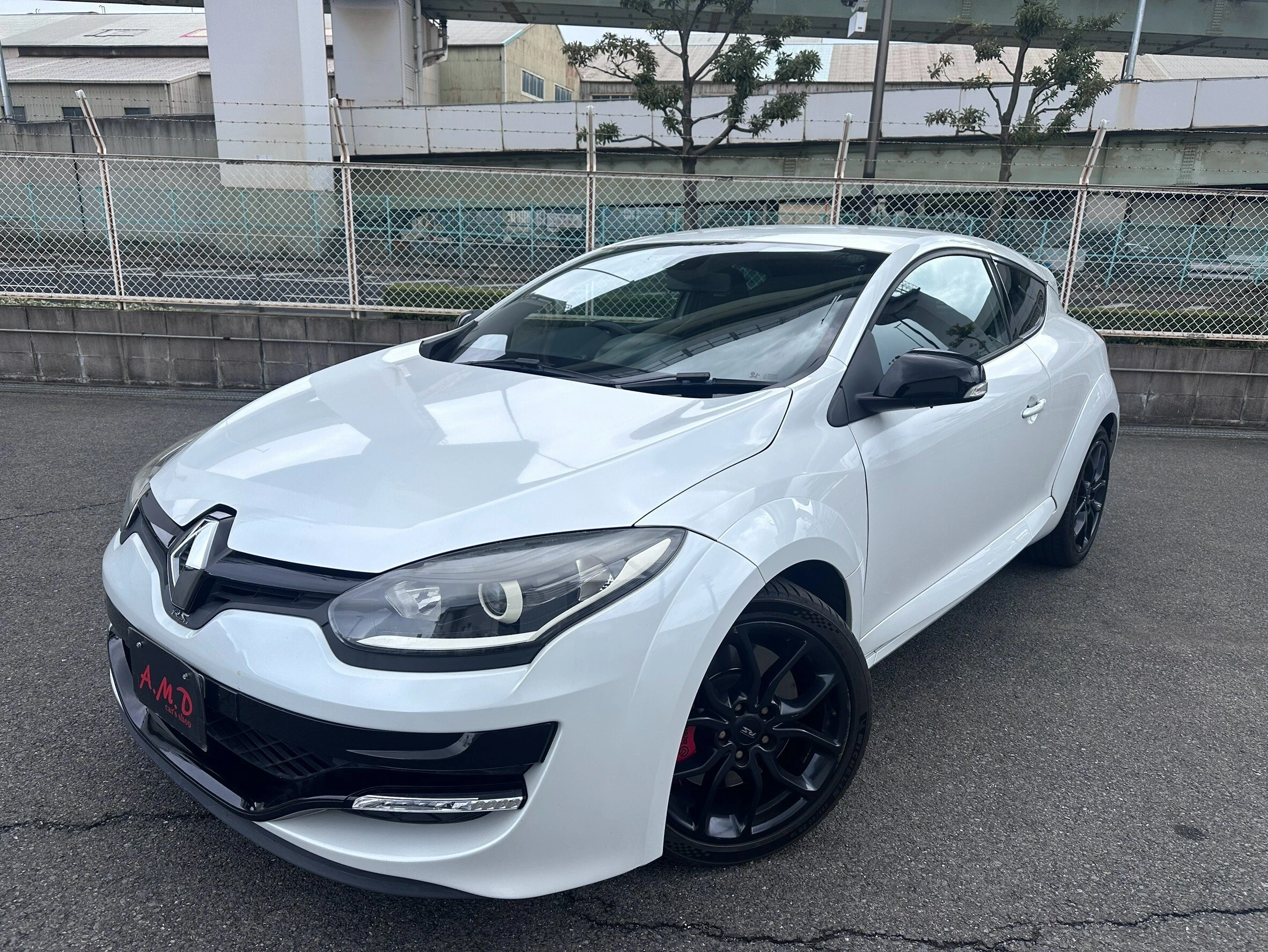 ニュルブルクリンク最速のメガーヌRS、中古車の魅力を最大限に引き出します！
