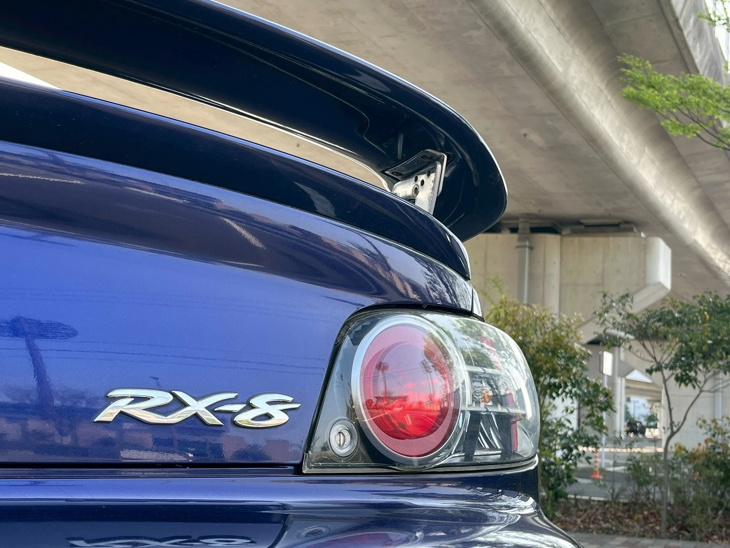 RX-8愛好者必見！