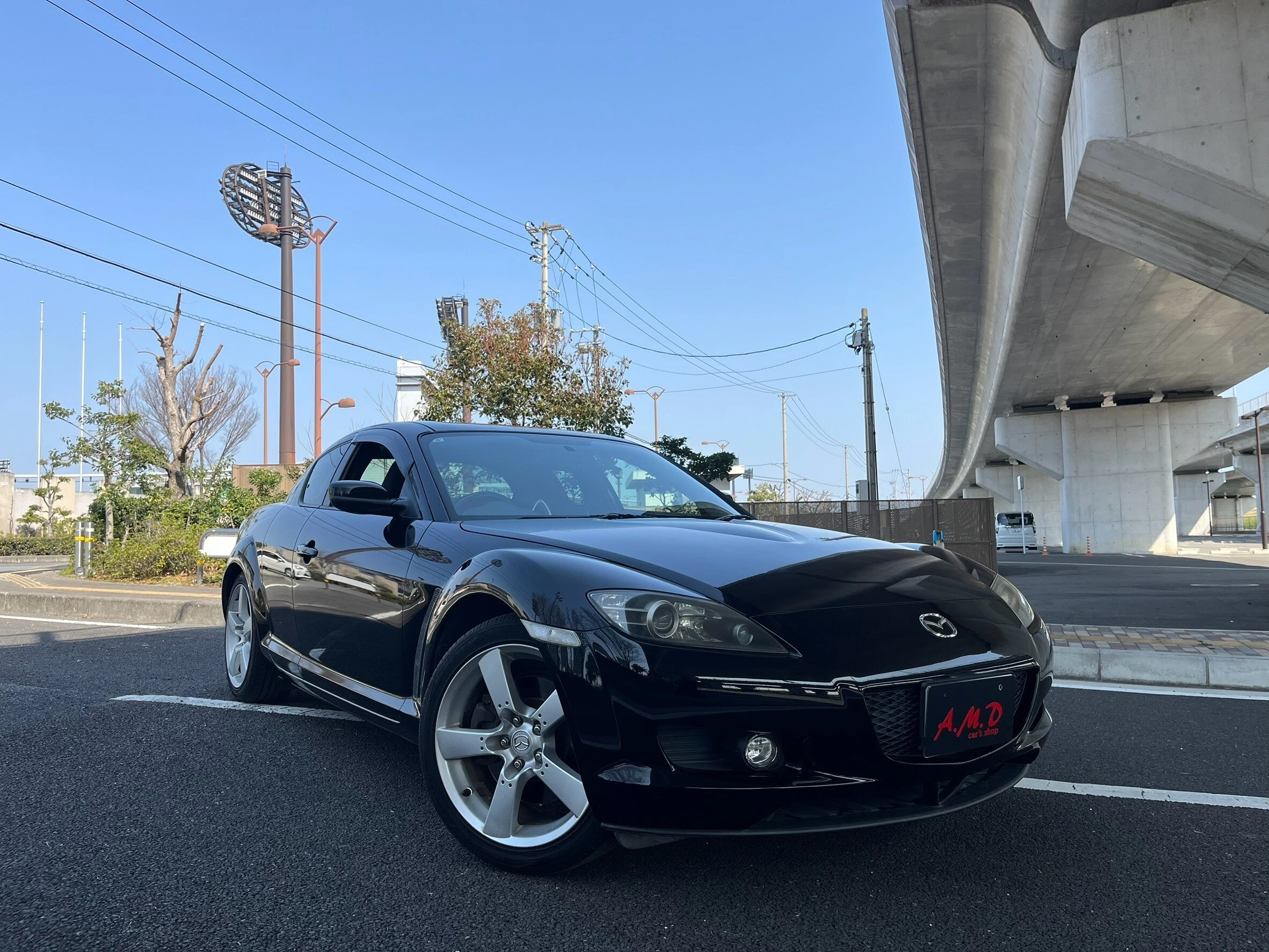 RX-8を手に入れるなら、絶対に知っておくべき選び方！