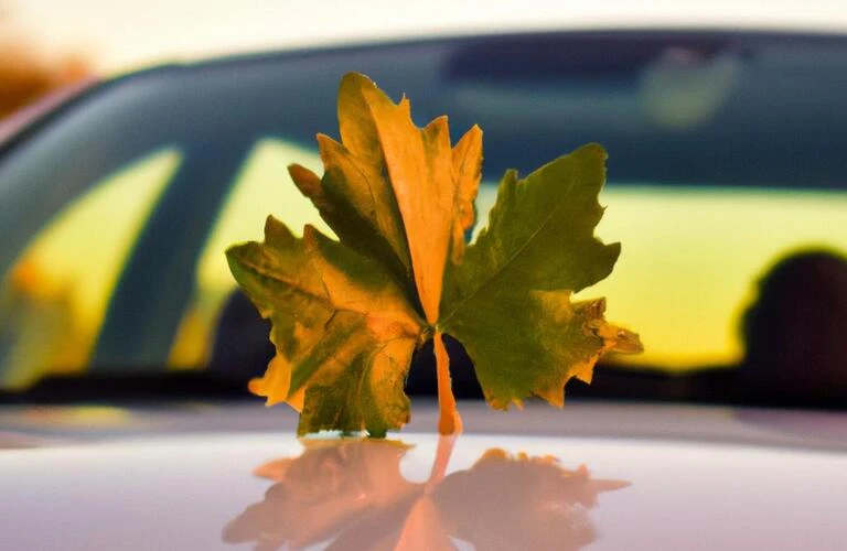 自然を愛し、車で楽しむライフスタイルを提案
